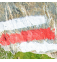 red trail